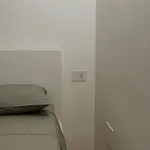 The Dream