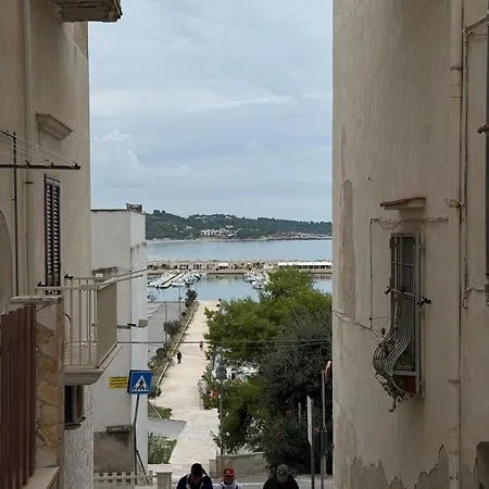 Hébergement de vacances The Dream *