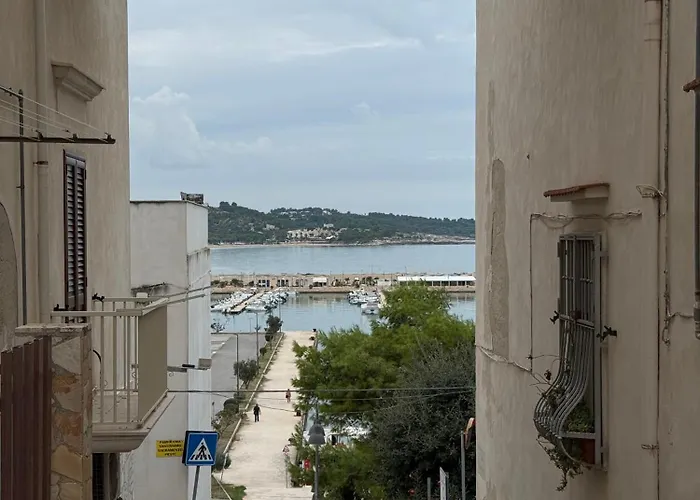 Tatil Evi The Dream *